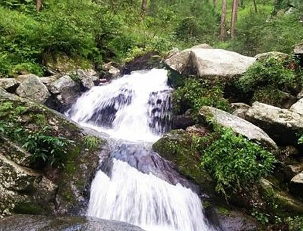 banner-image